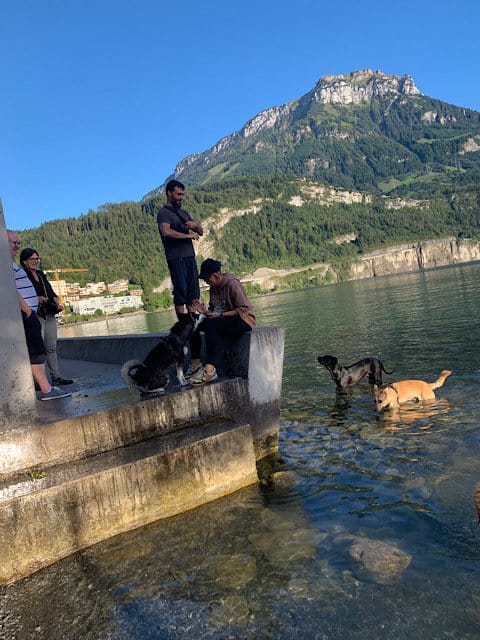 Feierabend Hundetreffen am See