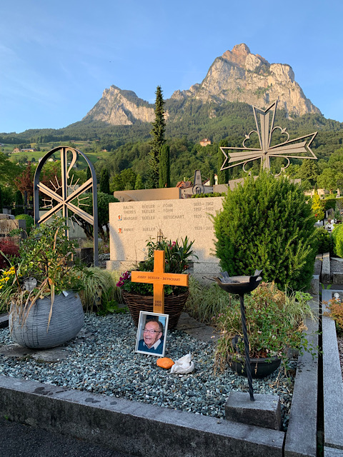 Durstige Pflanzen werden von der Abendsonne auf dem Friedhof in Schwyz beleuchtet.