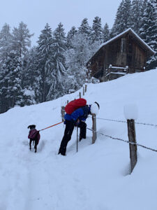 Ein Mann versteckt seinen Kopf hinter einem Schneehaufen, der sich auf einem Pfosten gebildet hat. Er hat einen schwarzen Hund vor gespannt und der Mann trägt Schneeschuhe.