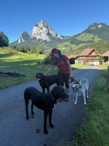 Petra in der Natur mit Bergen im Hintergrund und 2 schwarzen und einem Huskyhund
