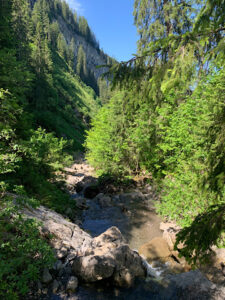 Adventure Hike im Bärental
