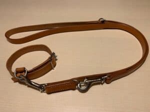 Leder Hundeleine mit Halsband Sattlerarbeit