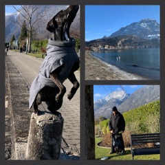 Mittagsspaziergang am Bristenquai, See und Berge und Hund als Skulptur in Lebend