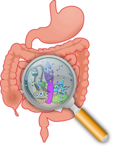 Zeichnung Darm mit Bakterien